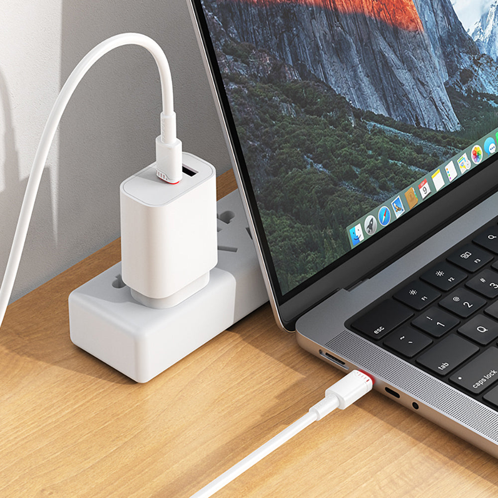 Data- og opladningskabel USB-C - USB-C Borofone BX110 Beneficio, 60W, 1m, Hvid