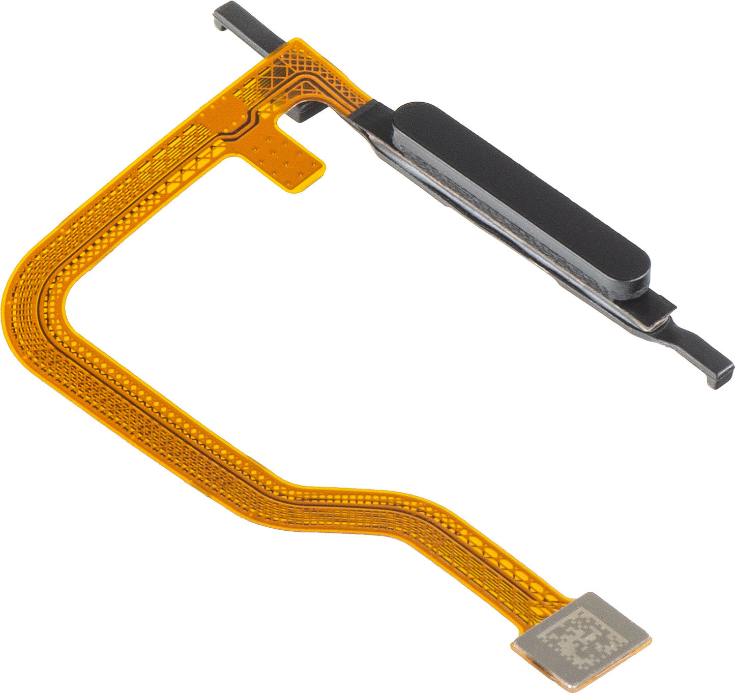 Senzor Amprenta HMD Fusion, med bånd, Sort, Service Pack 60400532H001