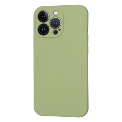 MagSafe-etui til Apple iPhone 13 Pro, Techsuit, SoftFlex, Matcha