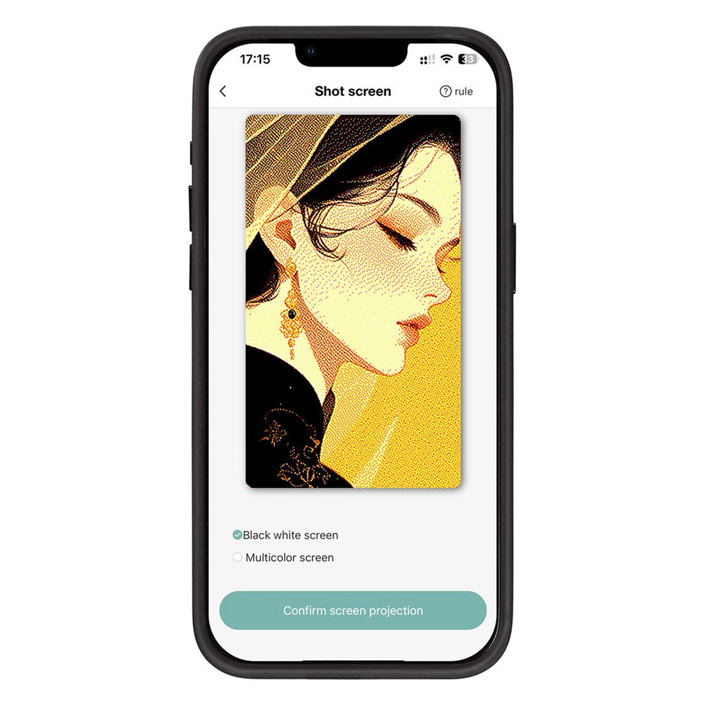 Cover til Apple iPhone 13 Pro Max, OEM, Tilpasset E-Ink Display, Sort