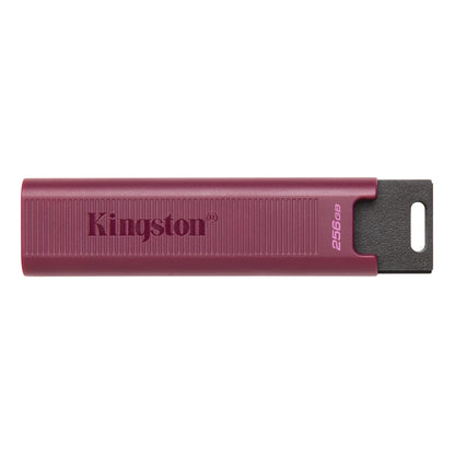 Ekstern USB-A 3.2 Kingston DT Max hukommelse, 256Gb DTMAXA/256GB