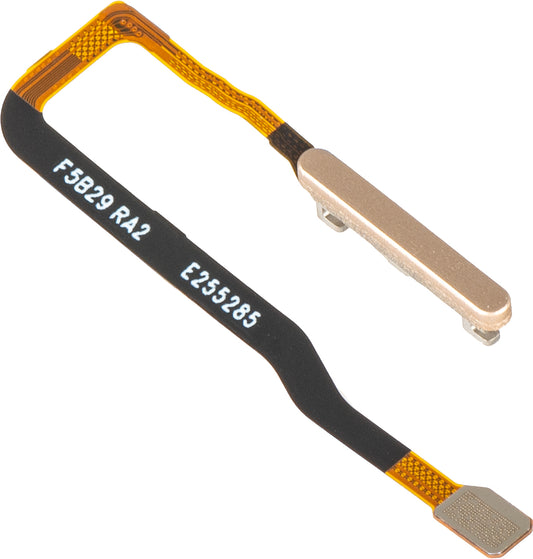 Honor Magic V6 Fingeraftrykssensor med bånd, Guld, Service Pack 2310AAKT