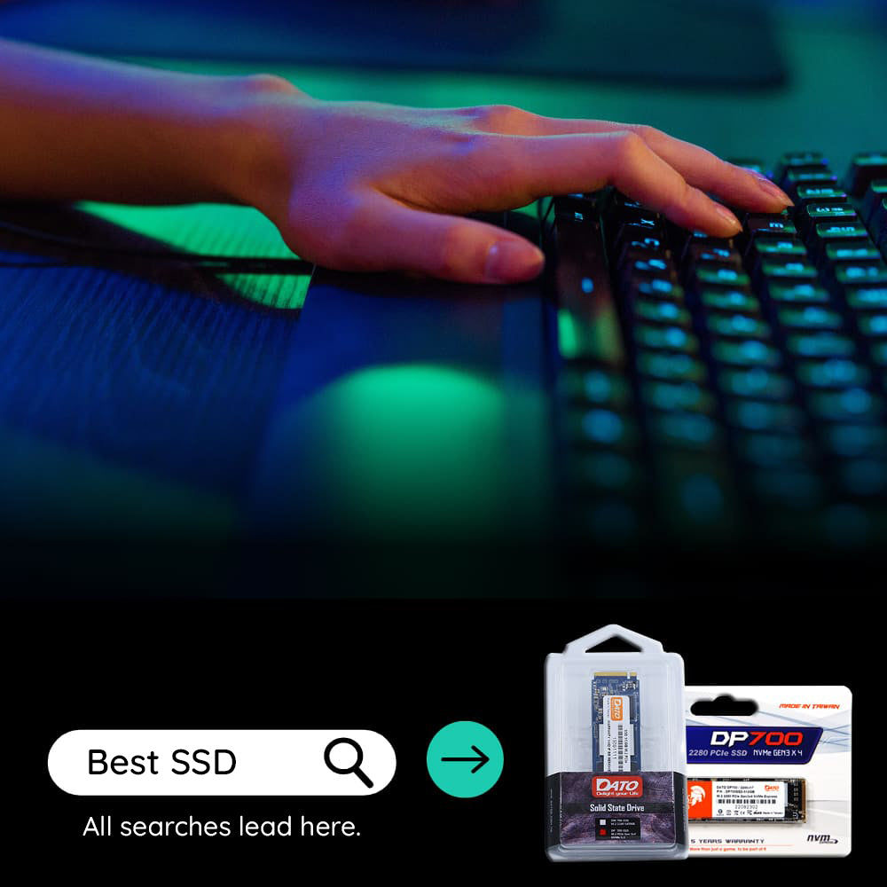 Solid State Drive (SSD) Dato, NVME M.2 2280, PCIe, 1TB, Sort DP580-1TB