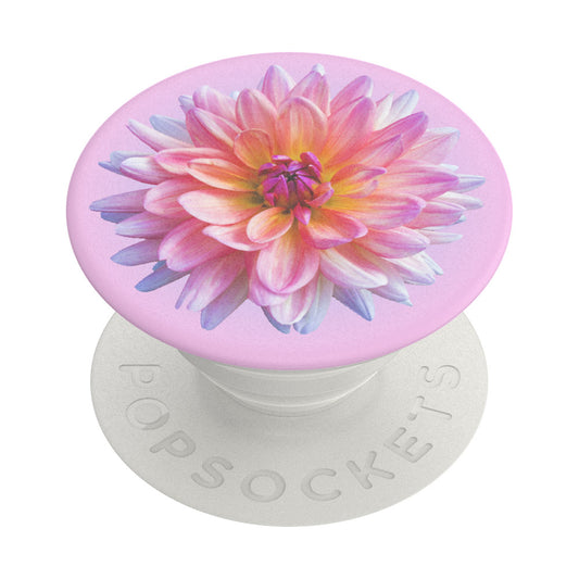 PopGrip Popsockets Dahlia Icon, Multifarvet