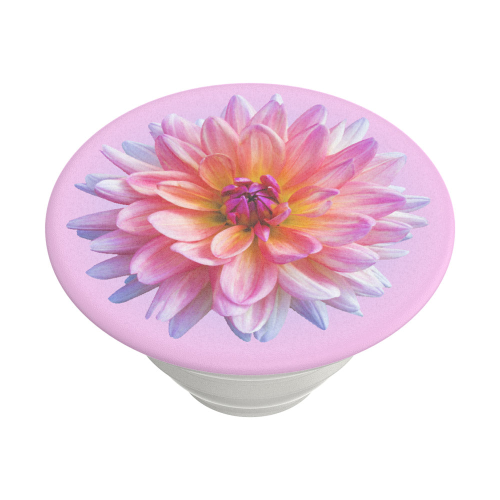 PopGrip Popsockets Dahlia Icon, Multifarvet